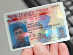 USA driver’s licence