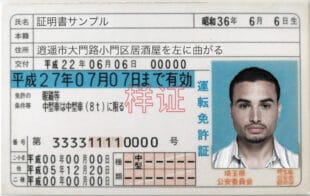 Buy Japanese drivers license online